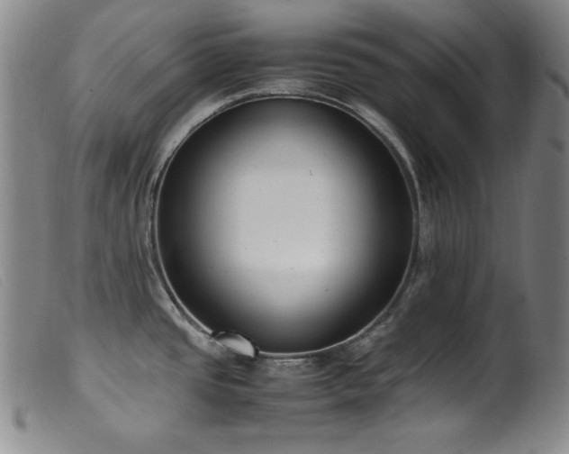 X0000099551437200805161441