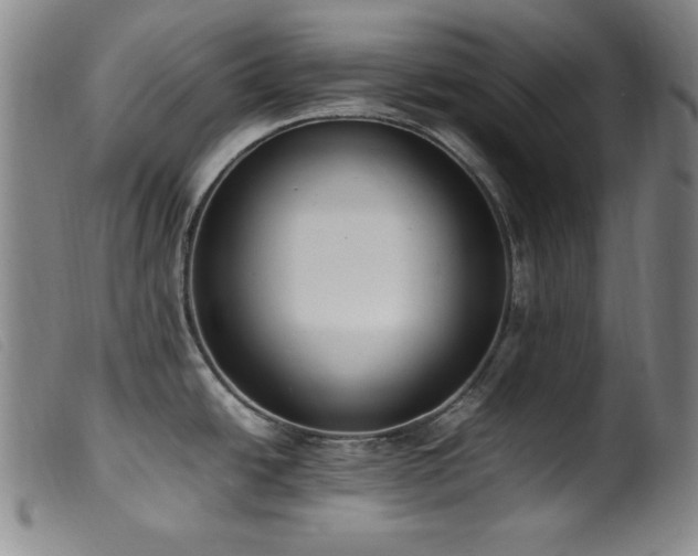 X0000099551438200805161441