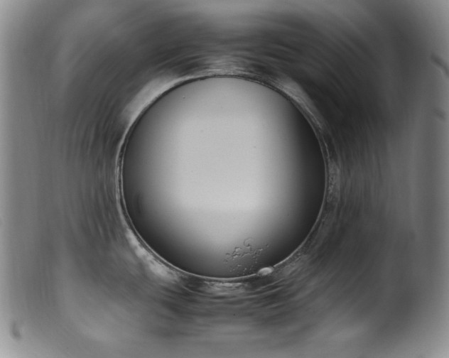 X0000099551439200805161441