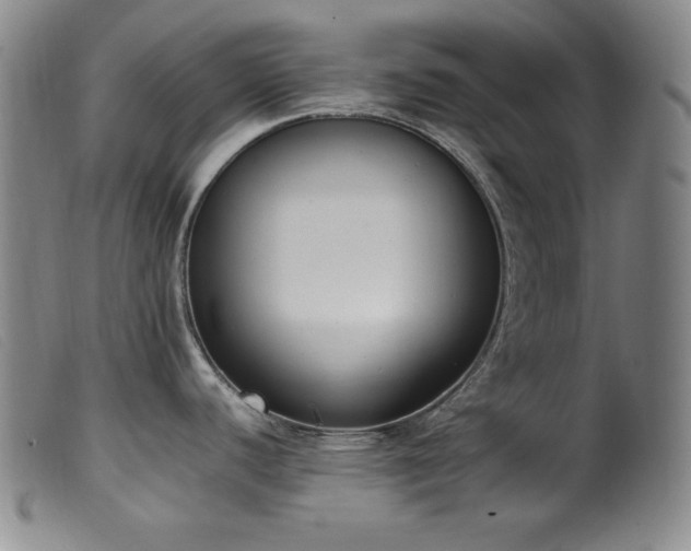 X0000099551440200805161441