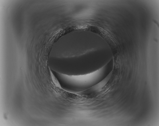 X0000099551441200805161440