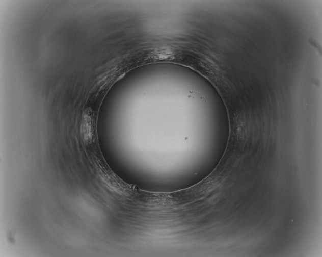 X0000099551442200805161440