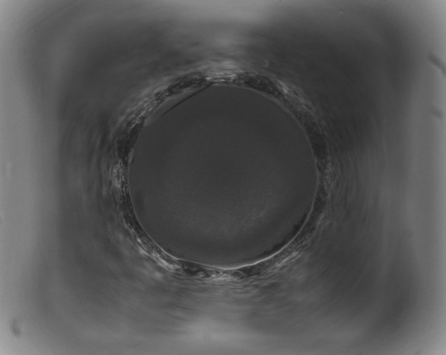 X0000099551445200805161440