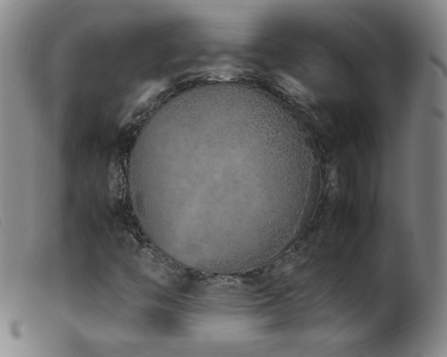 X0000099551446200805161440