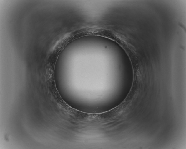 X0000099551447200805161440