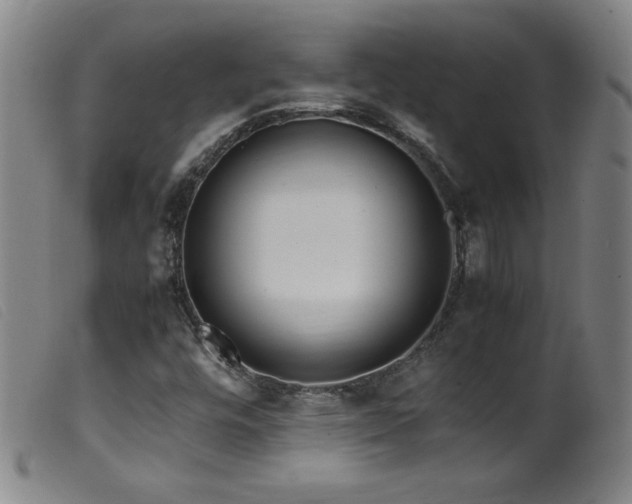 X0000099551448200805161440
