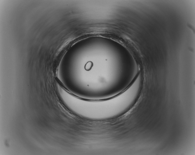 X0000099551449200805161440