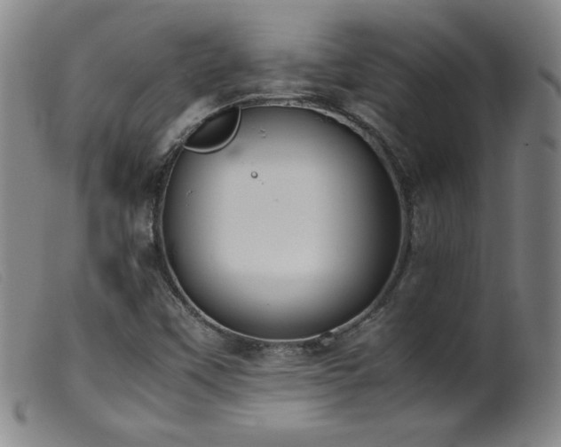 X0000099551451200805161440