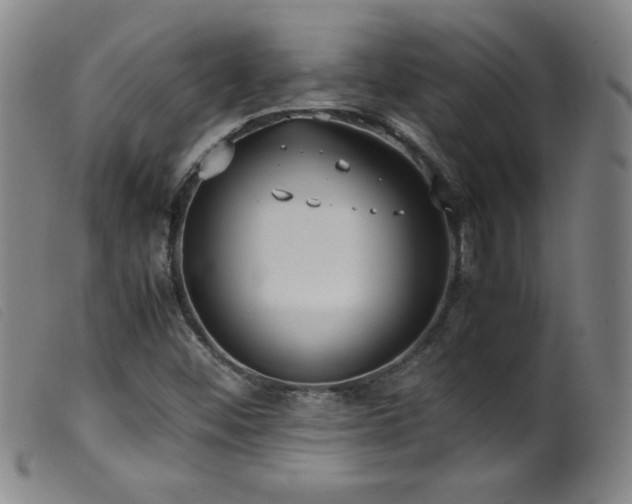 X0000099551452200805161440