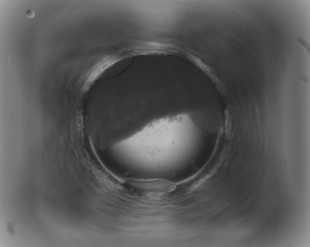 X0000099551453200805161440