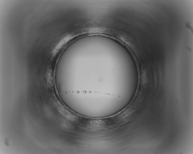 X0000099551454200805161440