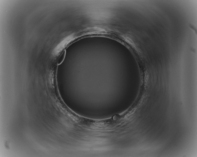 X0000099551455200805161440
