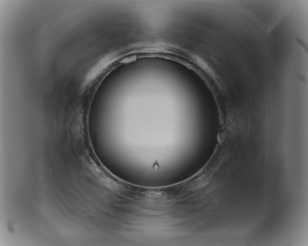 X0000099551456200805161440