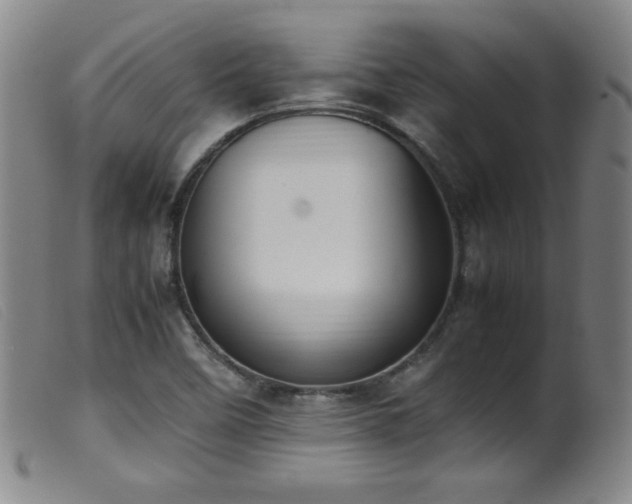 X0000099551458200805161440