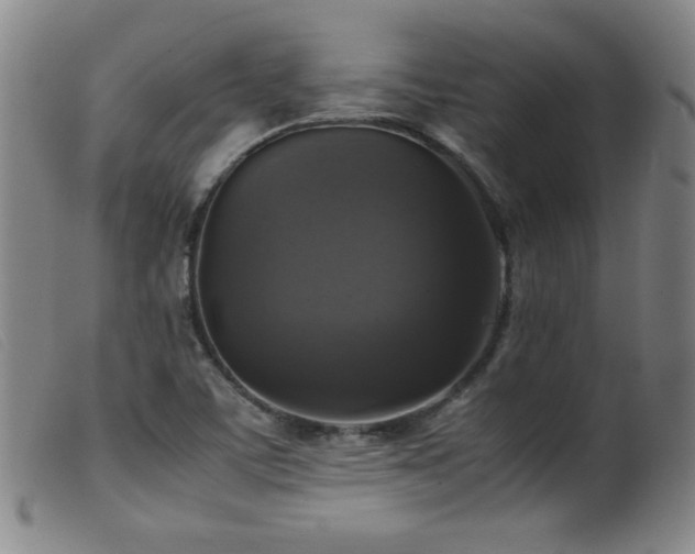 X0000099551459200805161440