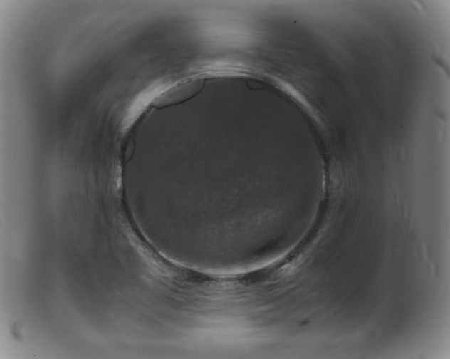 X0000099551461200805161440