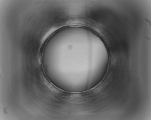 X0000099551462200805161440