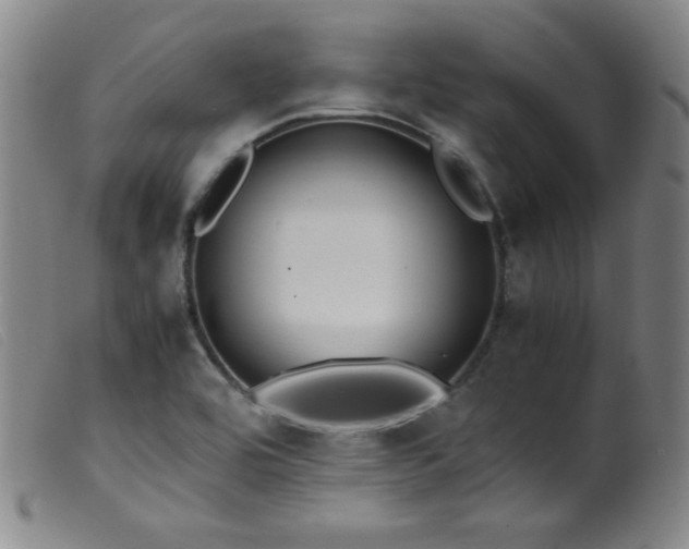 X0000099551464200805161440