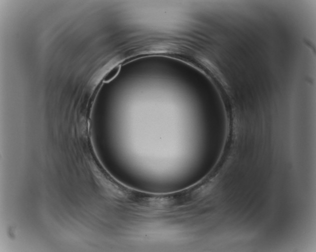X0000099551465200805161440