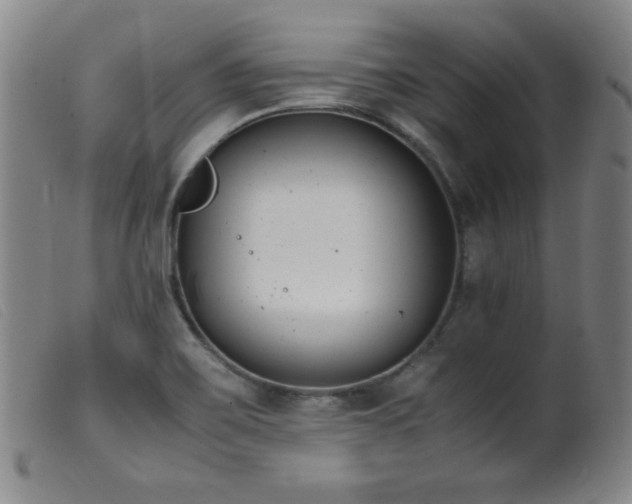 X0000099551467200805161440
