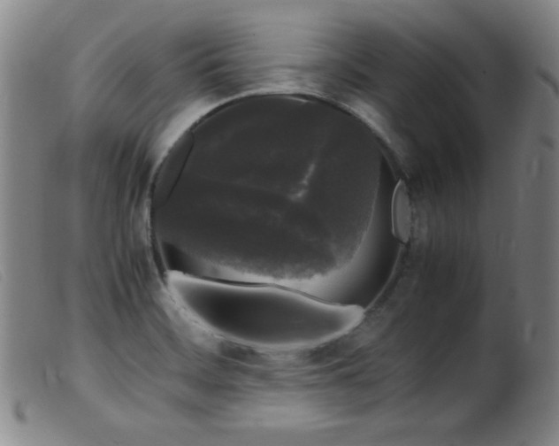X0000099551468200805161440
