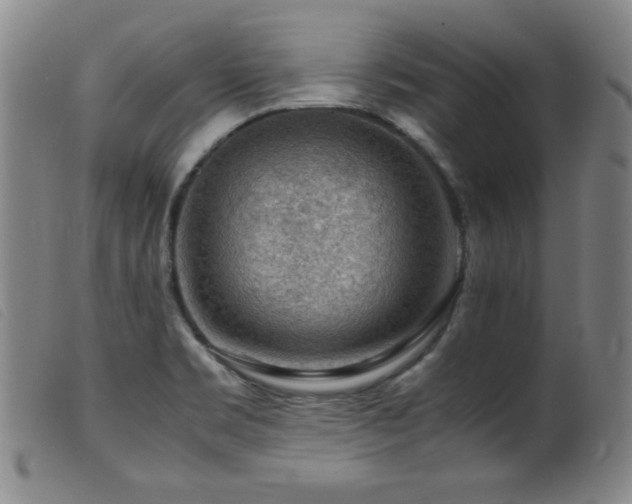 X0000099551469200805161440