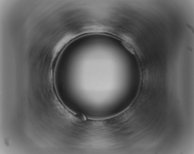 X0000099551472200805161440