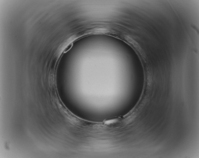 X0000099551473200805161440