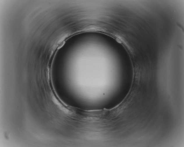 X0000099551476200805161440