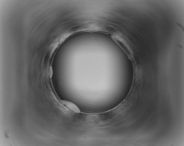X0000099551477200805161440