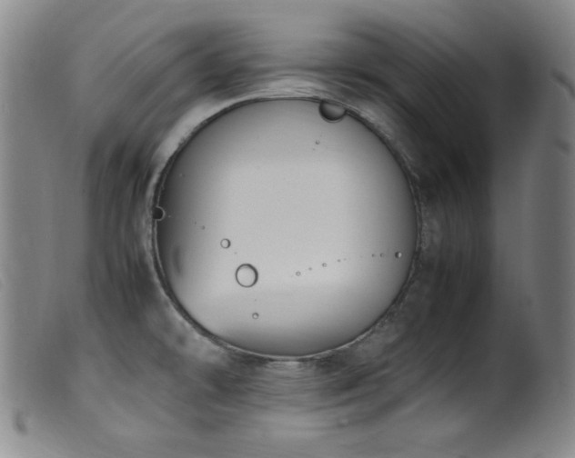 X0000099551478200805161440