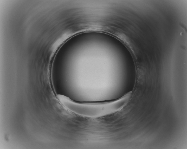 X0000099551480200805161440