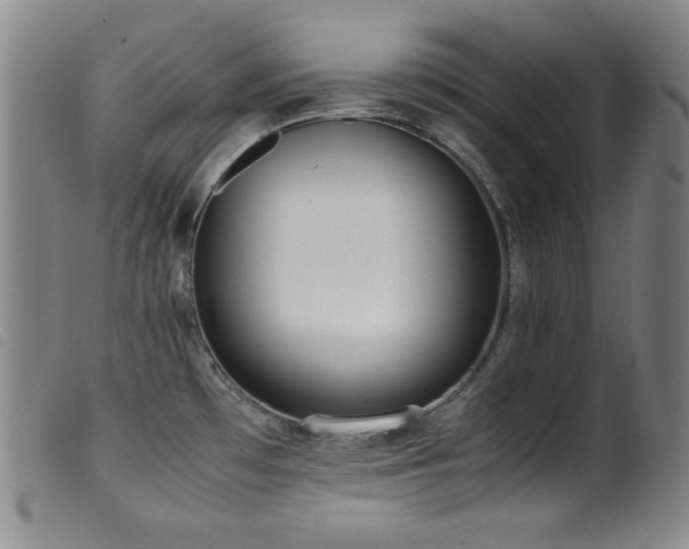 X0000099551481200805161440