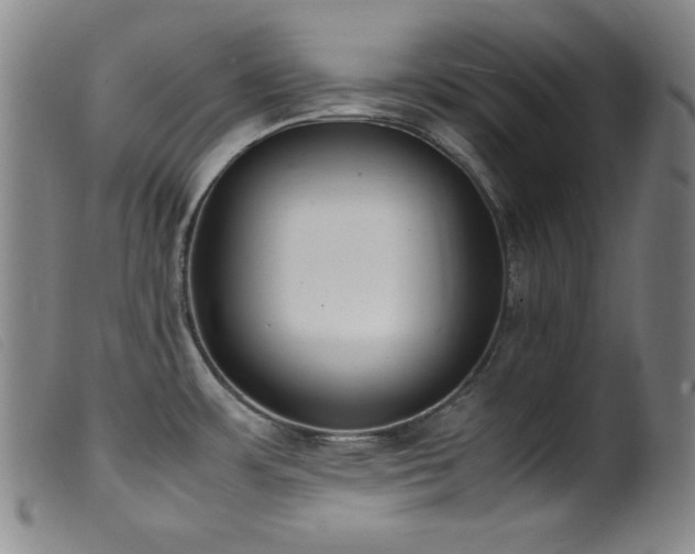 X0000099551483200805161440