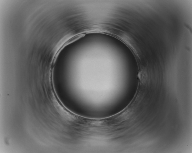 X0000099551484200805161440