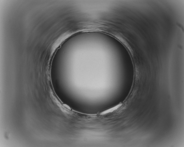 X0000099551485200805161440