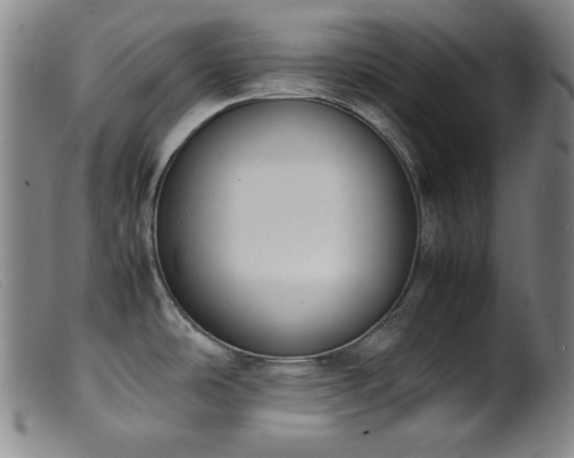 X0000099551486200805161439