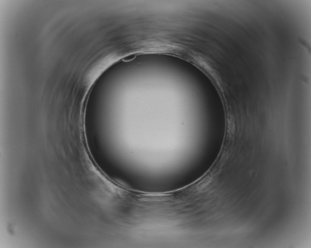 X0000099551487200805161439
