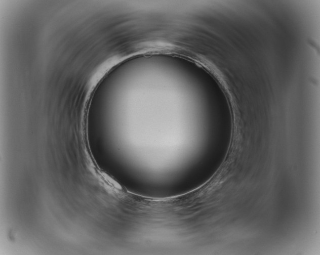 X0000099551488200805161439