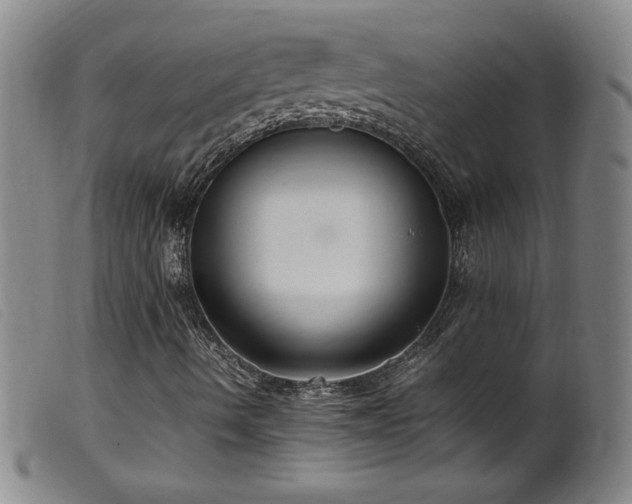 X0000099551490200805161439