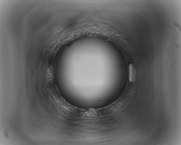X0000099551491200805161439