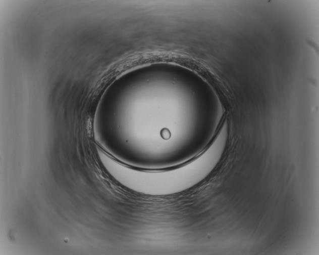 X0000099551492200805161439