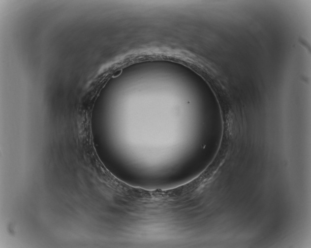 X0000099551494200805161439