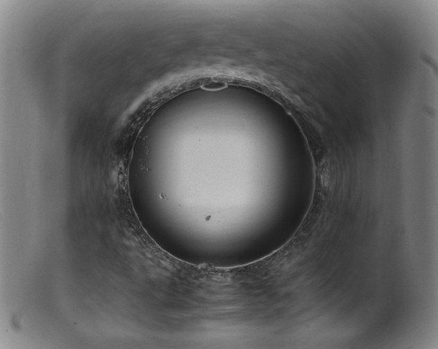 X0000099551495200805161439