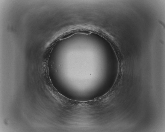 X0000099551496200805161439