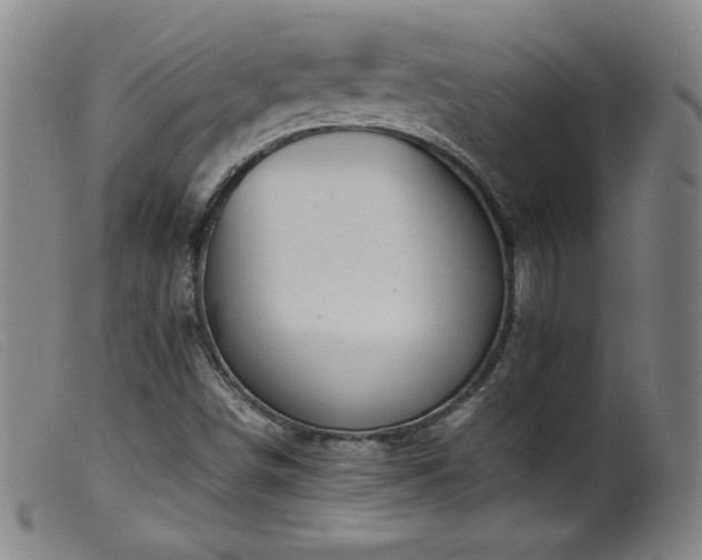 X0000099551498200805161439