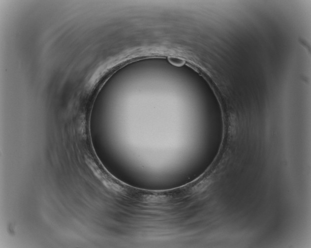 X0000099551499200805161439