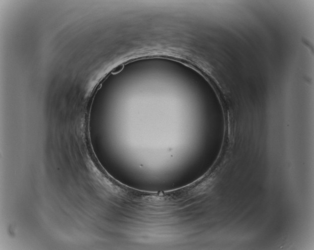 X0000099551500200805161439