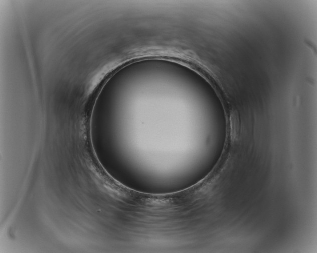 X0000099551501200805161439