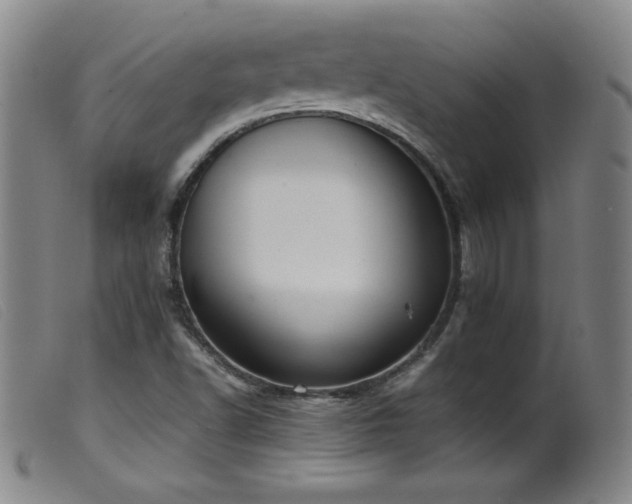 X0000099551502200805161439